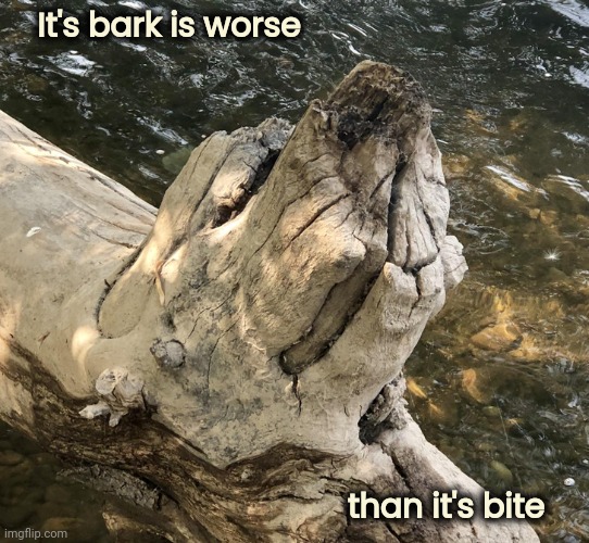 Hey look , Dogwood | It's bark is worse; than it's bite | image tagged in dog,well yes but actually no,happy tree friends,does your dog bite,morning wood | made w/ Imgflip meme maker