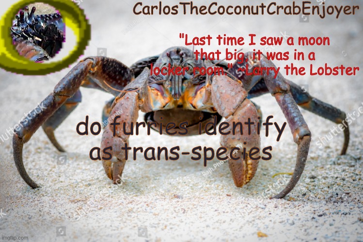 fjbnhbgkhvkhv. | do furries identify as trans-species | made w/ Imgflip meme maker