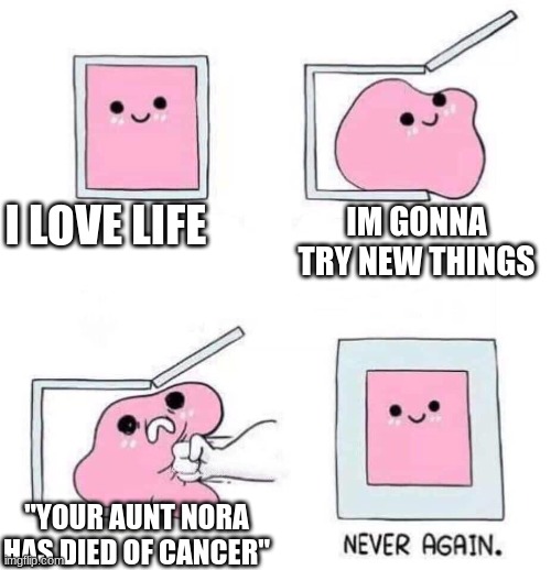 Never again | I LOVE LIFE; IM GONNA TRY NEW THINGS; "YOUR AUNT NORA HAS DIED OF CANCER" | image tagged in never again | made w/ Imgflip meme maker