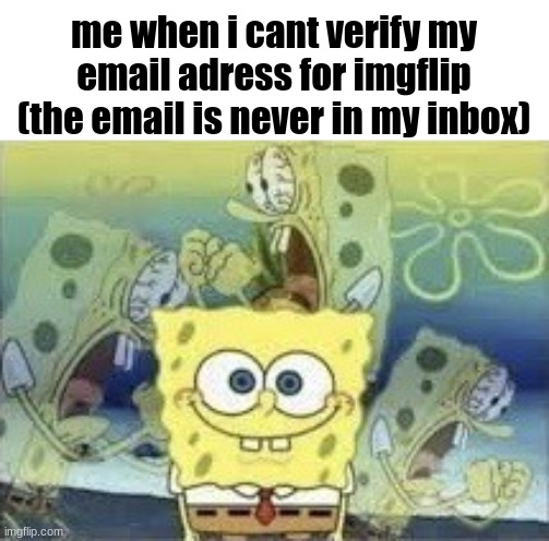 bro someone please help | me when i cant verify my email adress for imgflip (the email is never in my inbox) | image tagged in spongebob internal screaming | made w/ Imgflip meme maker