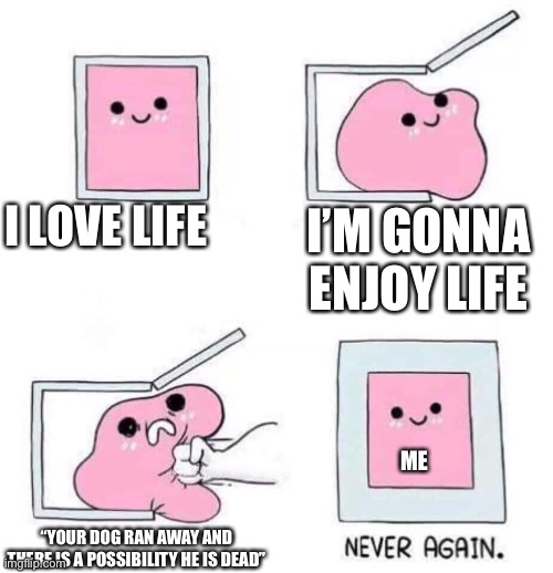 True story ;-; (bro I’m trying not to cry rn-) | I LOVE LIFE; I’M GONNA ENJOY LIFE; ME; “YOUR DOG RAN AWAY AND THERE IS A POSSIBILITY HE IS DEAD” | image tagged in never again | made w/ Imgflip meme maker