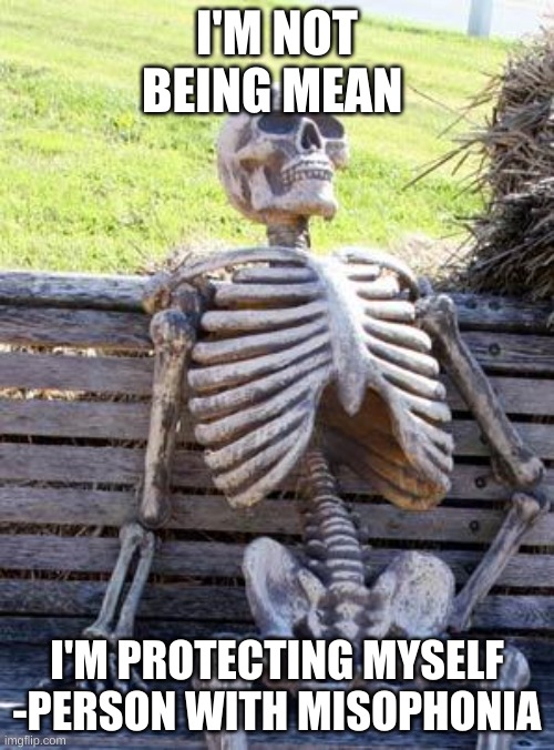 Waiting Skeleton | I'M NOT BEING MEAN; I'M PROTECTING MYSELF
-PERSON WITH MISOPHONIA | image tagged in memes,waiting skeleton | made w/ Imgflip meme maker