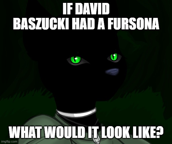 My new panther fursona | IF DAVID BASZUCKI HAD A FURSONA; WHAT WOULD IT LOOK LIKE? | image tagged in my new panther fursona | made w/ Imgflip meme maker