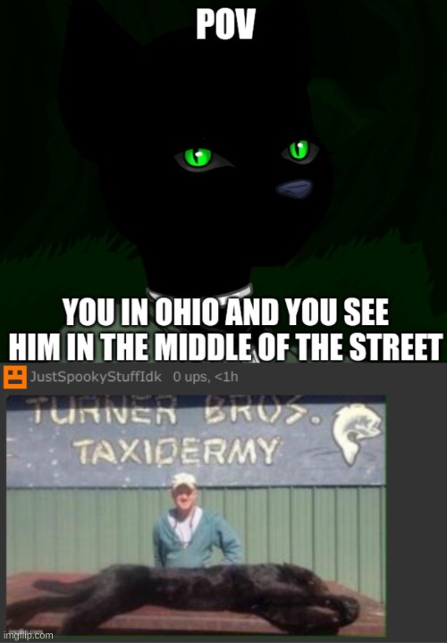The right option | made w/ Imgflip meme maker