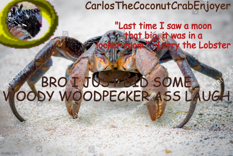 rehcfehbj | BRO I JUST DID SOME WOODY WOODPECKER ASS LAUGH | made w/ Imgflip meme maker