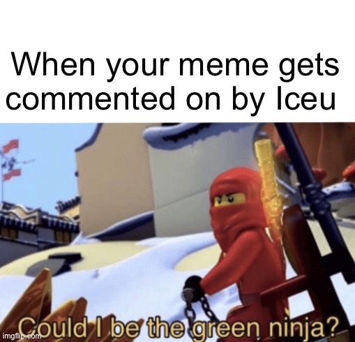 Ninjago used to be fire. What happened? | image tagged in could i be the green ninja | made w/ Imgflip meme maker