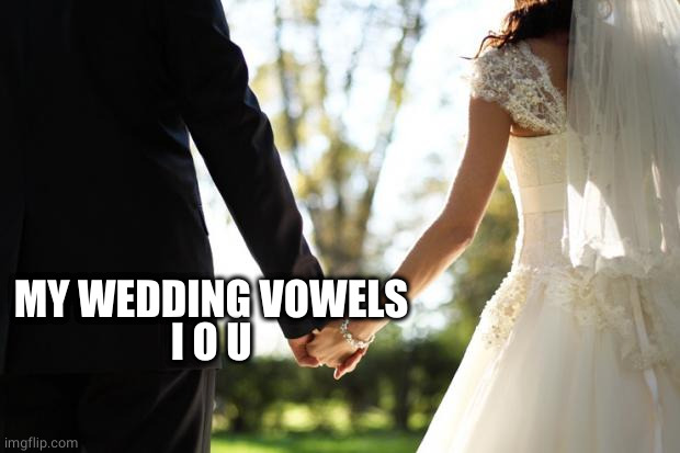 wedding | MY WEDDING VOWELS
I O U | image tagged in wedding | made w/ Imgflip meme maker