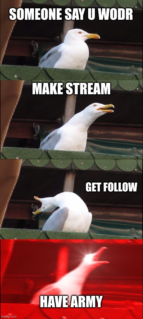 Inhaling Seagull Meme | SOMEONE SAY U WODR; MAKE STREAM; GET FOLLOW; HAVE ARMY | image tagged in memes,inhaling seagull | made w/ Imgflip meme maker