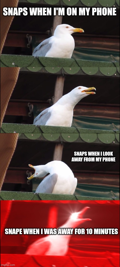 Phones | SNAPS WHEN I'M ON MY PHONE; SNAPS WHEN I LOOK AWAY FROM MY PHONE; SNAPE WHEN I WAS AWAY FOR 10 MINUTES | image tagged in memes,inhaling seagull | made w/ Imgflip meme maker