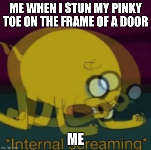 this hurts | ME WHEN I STUN MY PINKY TOE ON THE FRAME OF A DOOR; ME | image tagged in jake the dog internal screaming,memes,funny | made w/ Imgflip meme maker