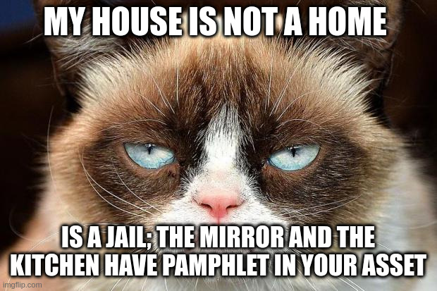 Jail | MY HOUSE IS NOT A HOME; IS A JAIL; THE MIRROR AND THE KITCHEN HAVE PAMPHLET IN YOUR ASSET | image tagged in memes,grumpy cat not amused,grumpy cat | made w/ Imgflip meme maker