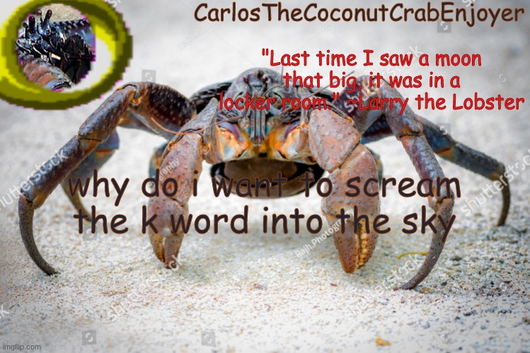 hjvbhggcxnfbx | why do i want to scream the k word into the sky | made w/ Imgflip meme maker