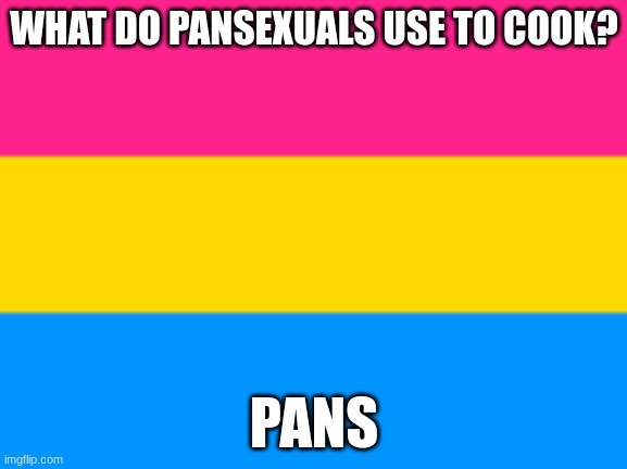 Pan joke (I'm pan, so I made this) | WHAT DO PANSEXUALS USE TO COOK? PANS | made w/ Imgflip meme maker