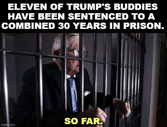 Only the best people. | ELEVEN OF TRUMP'S BUDDIES HAVE BEEN SENTENCED TO A 
COMBINED 30 YEARS IN PRISON. SO FAR. | image tagged in trump,corrupt,lock him up,jail,prison,criminals | made w/ Imgflip meme maker