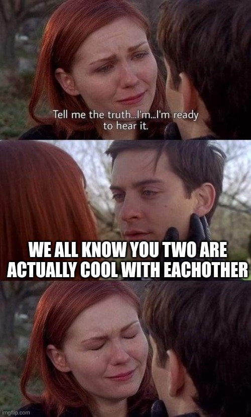 Tell me the truth, I'm ready to hear it | WE ALL KNOW YOU TWO ARE ACTUALLY COOL WITH EACHOTHER | image tagged in tell me the truth i'm ready to hear it | made w/ Imgflip meme maker