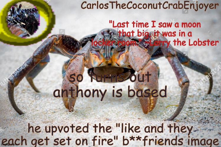 @superultrasonic3000 | so turns out anthony is based; he upvoted the "like and they each get set on fire" b**friends image | made w/ Imgflip meme maker