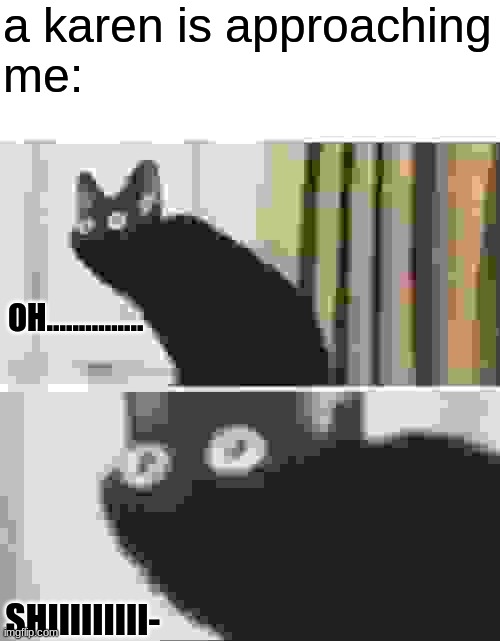 Oh No Black Cat | a karen is approaching
me:; OH............... SHIIIIIIIII- | image tagged in oh no black cat,karen | made w/ Imgflip meme maker