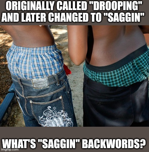 ORIGINALLY CALLED "DROOPING" AND LATER CHANGED TO "SAGGIN"; WHAT'S "SAGGIN" BACKWORDS? | image tagged in funny memes | made w/ Imgflip meme maker