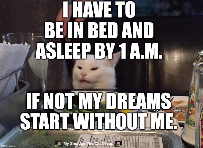 I HAVE TO BE IN BED AND ASLEEP BY 1 A.M. IF NOT MY DREAMS START WITHOUT ME. | image tagged in smudge the cat | made w/ Imgflip meme maker