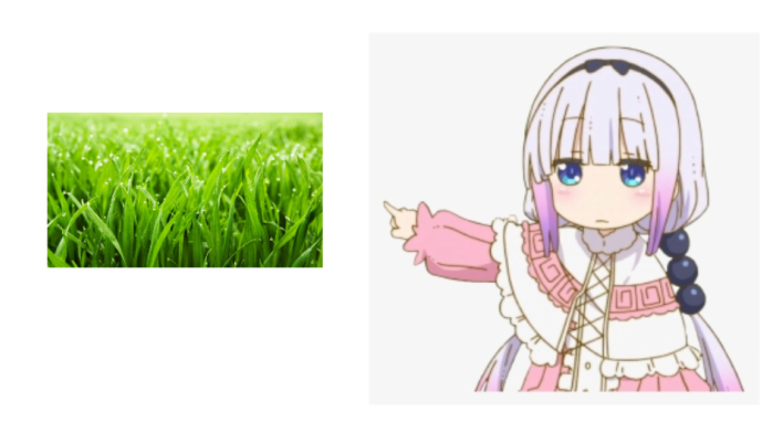 High Quality Touch grass Blank Meme Template