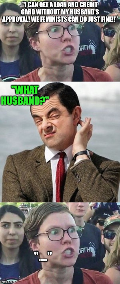 "I CAN GET A LOAN AND CREDIT CARD WITHOUT MY HUSBAND'S APPROVAL! WE FEMINISTS CAN DO JUST FINE!!"; "WHAT HUSBAND?"; "...." | image tagged in triggered liberal,not sure,memes | made w/ Imgflip meme maker