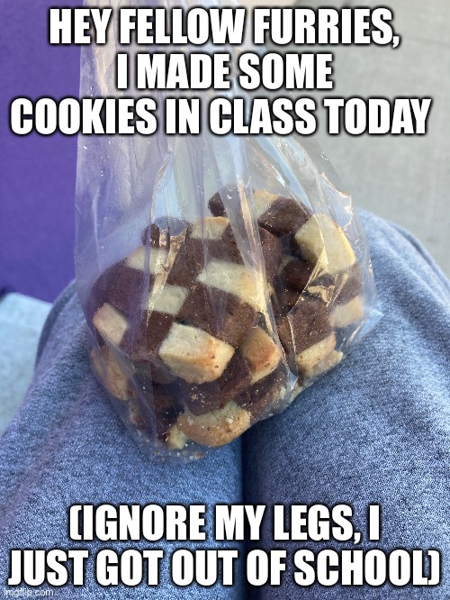 these are Checkerboard Cookies, its just vanilla and chocolate | HEY FELLOW FURRIES, I MADE SOME COOKIES IN CLASS TODAY; (IGNORE MY LEGS, I JUST GOT OUT OF SCHOOL) | image tagged in cookies,school | made w/ Imgflip meme maker