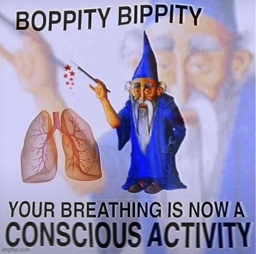 Boppity Bippity | image tagged in fun | made w/ Imgflip meme maker