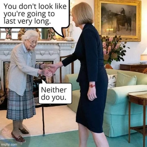 Lettuce wins. | made w/ Imgflip meme maker
