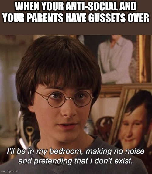 Harry Potter | WHEN YOUR ANTI-SOCIAL AND YOUR PARENTS HAVE GUSSETS OVER | image tagged in harry potter,book two chamber of secrets | made w/ Imgflip meme maker