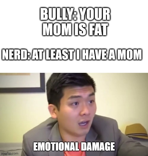 ._____. | BULLY: YOUR MOM IS FAT; NERD: AT LEAST I HAVE A MOM | image tagged in emotions,emotional damage,roasted,bully,nerd | made w/ Imgflip meme maker