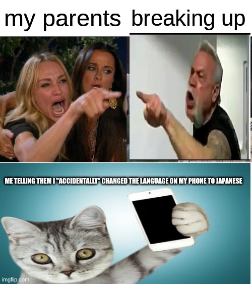 Boy, | my parents; breaking up; ME TELLING THEM I "ACCIDENTALLY" CHANGED THE LANGUAGE ON MY PHONE TO JAPANESE | image tagged in memes,woman yelling at cat | made w/ Imgflip meme maker