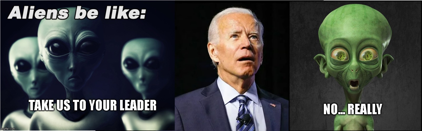 Biden is NOT a leader | NO... REALLY; TAKE US TO YOUR LEADER | made w/ Imgflip meme maker