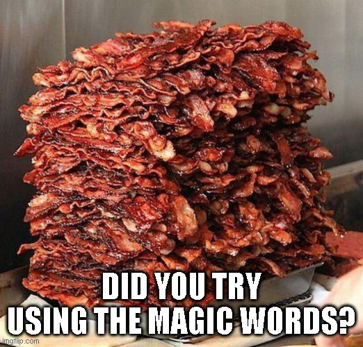 Magic Words | DID YOU TRY USING THE MAGIC WORDS? | image tagged in bacon | made w/ Imgflip meme maker