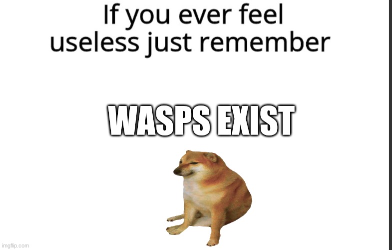 If you ever feel useless remember this | WASPS EXIST | image tagged in if you ever feel useless remember this | made w/ Imgflip meme maker