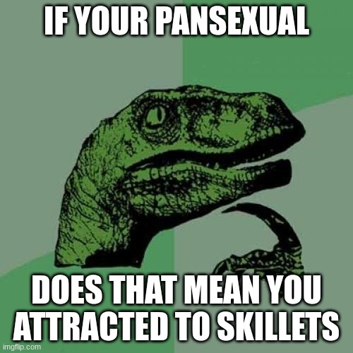 not homophobic | IF YOUR PANSEXUAL; DOES THAT MEAN YOU ATTRACTED TO SKILLETS | image tagged in memes,philosoraptor | made w/ Imgflip meme maker