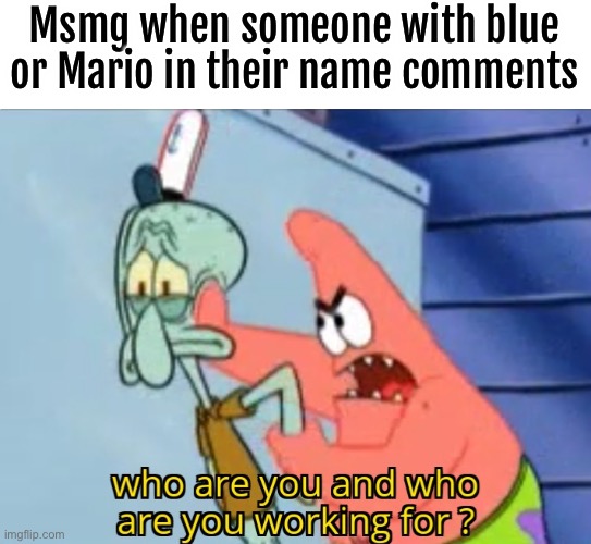 Msmg when someone with blue or Mario in their name comments | image tagged in who are you and who are you working for | made w/ Imgflip meme maker