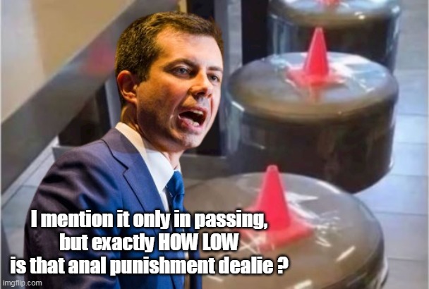 I mention it only in passing,
but exactly HOW LOW is that anal punishment dealie ? | made w/ Imgflip meme maker