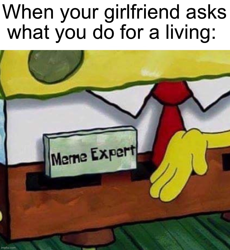 This will be me when I get a girlfriend |  When your girlfriend asks what you do for a living: | image tagged in memes,funny,memers,spongebob,professional,job | made w/ Imgflip meme maker
