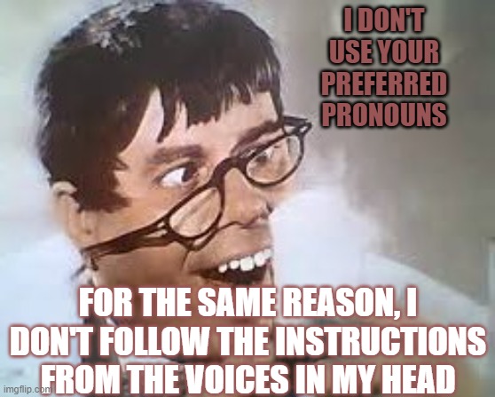 Voices in my head | I DON'T USE YOUR PREFERRED PRONOUNS; FOR THE SAME REASON, I DON'T FOLLOW THE INSTRUCTIONS FROM THE VOICES IN MY HEAD | image tagged in voices in my head | made w/ Imgflip meme maker