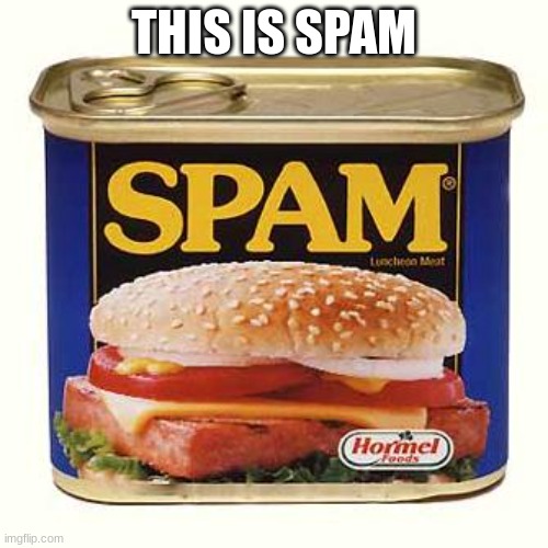 i am le rule breaker | THIS IS SPAM | image tagged in spam,memes,funny,ye,epic,lol | made w/ Imgflip meme maker