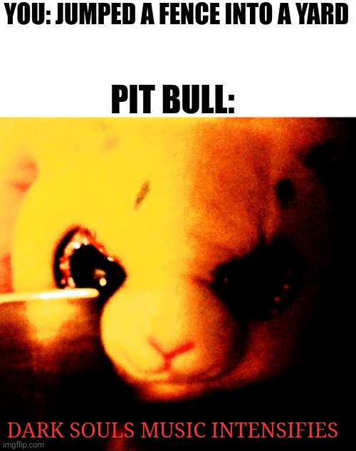 Dark Souls Meme | YOU: JUMPED A FENCE INTO A YARD; PIT BULL:; DARK SOULS MUSIC INTENSIFIES | image tagged in bunny with a knife,memes,dark souls | made w/ Imgflip meme maker