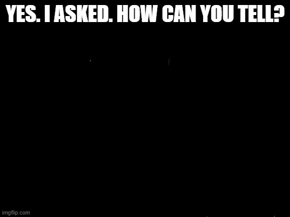 Blank White Template | YES. I ASKED. HOW CAN YOU TELL? | image tagged in blank white template | made w/ Imgflip meme maker