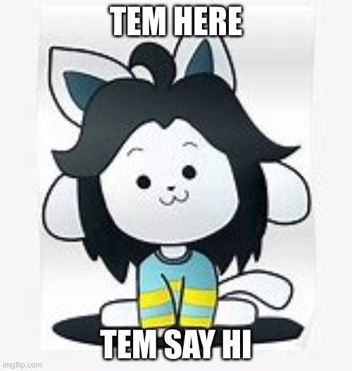 temmie say hi | TEM HERE; TEM SAY HI | image tagged in temmie,tem cult | made w/ Imgflip meme maker