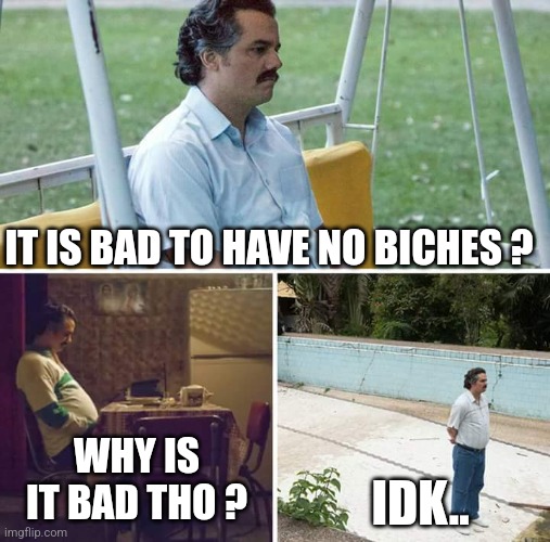 No biches...? | IT IS BAD TO HAVE NO BICHES ? WHY IS IT BAD THO ? IDK.. | image tagged in memes,sad pablo escobar,no bitches,funny,thinking,so true memes | made w/ Imgflip meme maker