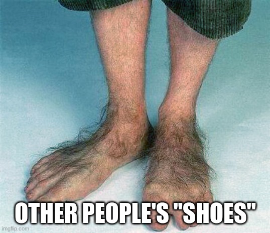Hairy feet  | OTHER PEOPLE'S "SHOES" | image tagged in hairy feet | made w/ Imgflip meme maker