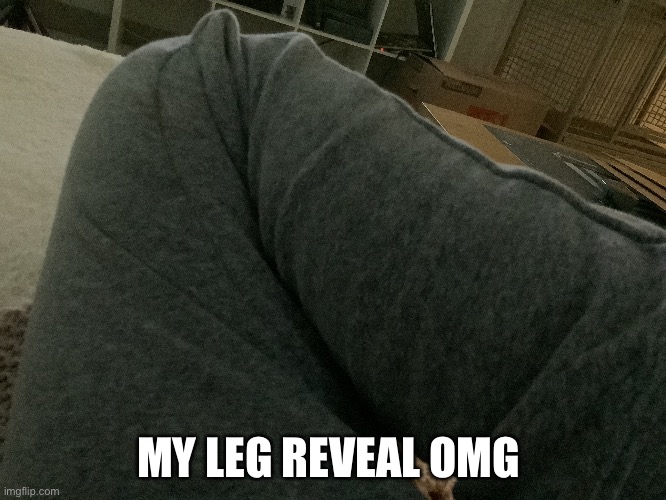 MY LEG REVEAL OMG | made w/ Imgflip meme maker