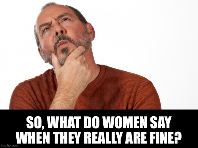 Fine | SO, WHAT DO WOMEN SAY WHEN THEY REALLY ARE FINE? | image tagged in hmmm | made w/ Imgflip meme maker