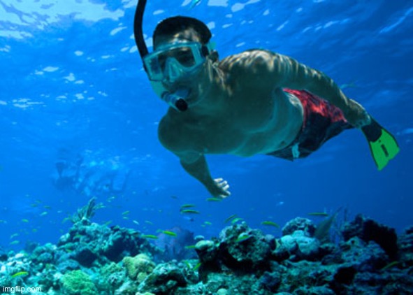 snorkeling | image tagged in snorkeling | made w/ Imgflip meme maker