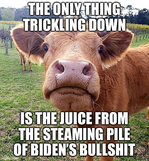 Biden’s Blaming “Mega Maga Trickle Down” for Disastrous Economy that BIDEN created | THE ONLY THING TRICKLING DOWN; IS THE JUICE FROM THE STEAMING PILE OF BIDEN’S BULLSHIT | image tagged in biden disaster,biden dementia,biden energy policies | made w/ Imgflip meme maker