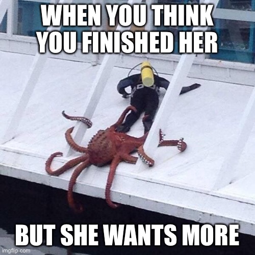 More | WHEN YOU THINK YOU FINISHED HER; BUT SHE WANTS MORE | image tagged in octopus grabs diver,more,psychotic girlfriend | made w/ Imgflip meme maker